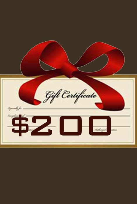 Gift Certificate $200 - Margo Petitti Gift Certificates - scarf 