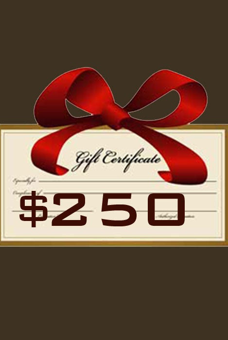 Gift Certificate $250 - Margo Petitti Gift Certificates - scarf 